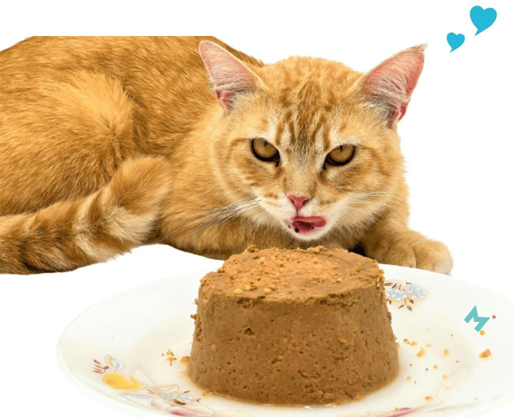 Maybel Elite Premium Cat Food – 400g