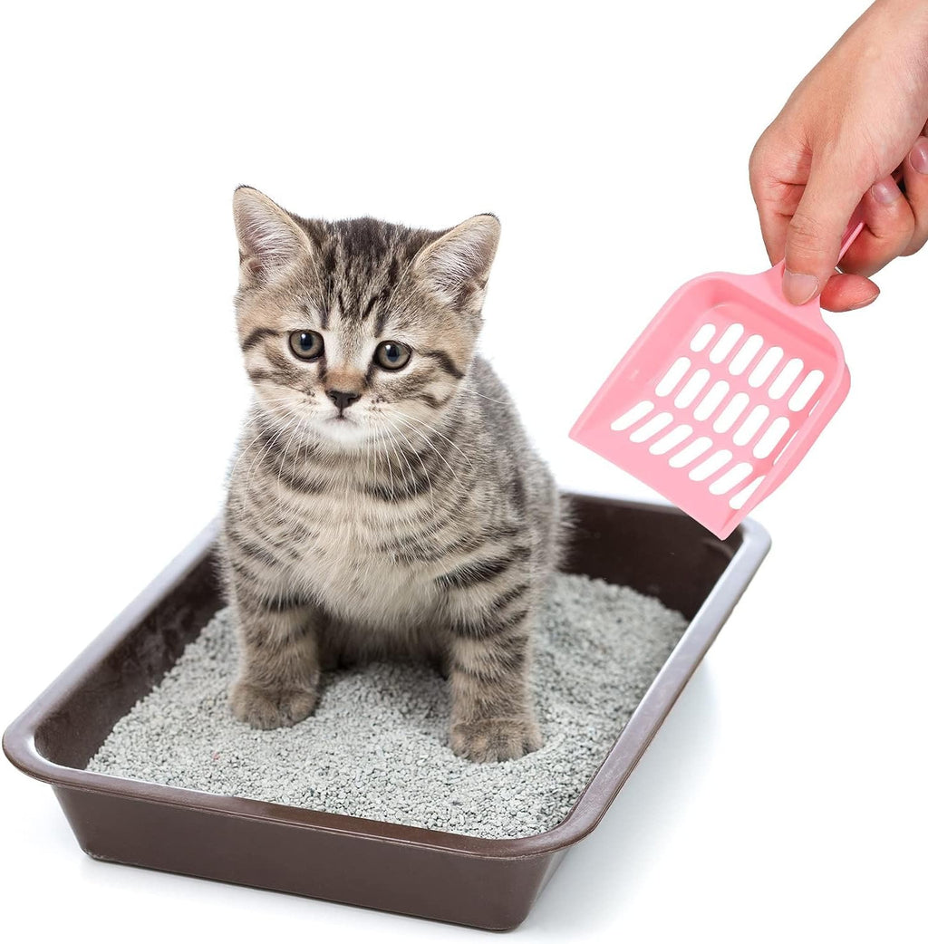 Cat Litter Scoop – Large