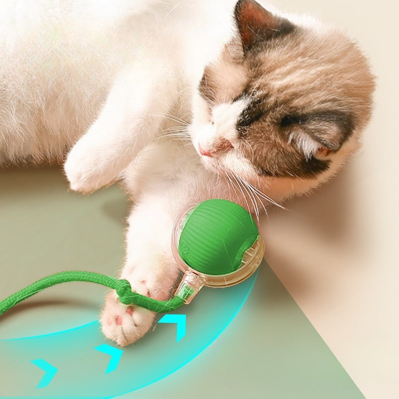 Mouse Ball – Interactive Cat Toy