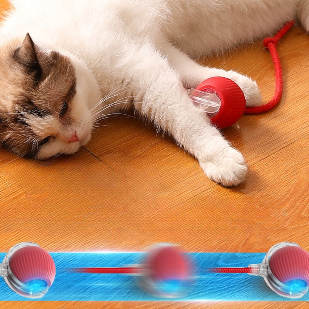 Mouse Ball – Interactive Cat Toy