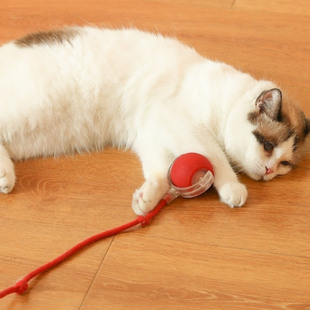 Mouse Ball – Interactive Cat Toy