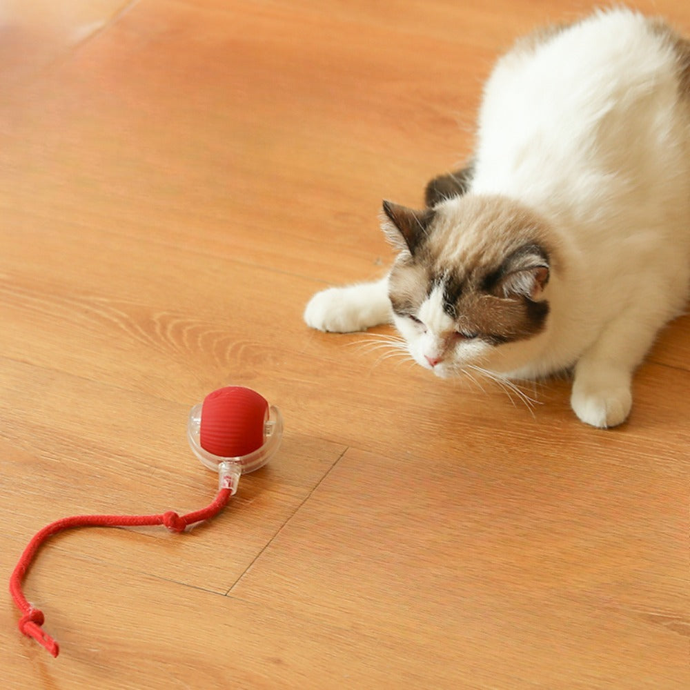 Mouse Ball – Interactive Cat Toy