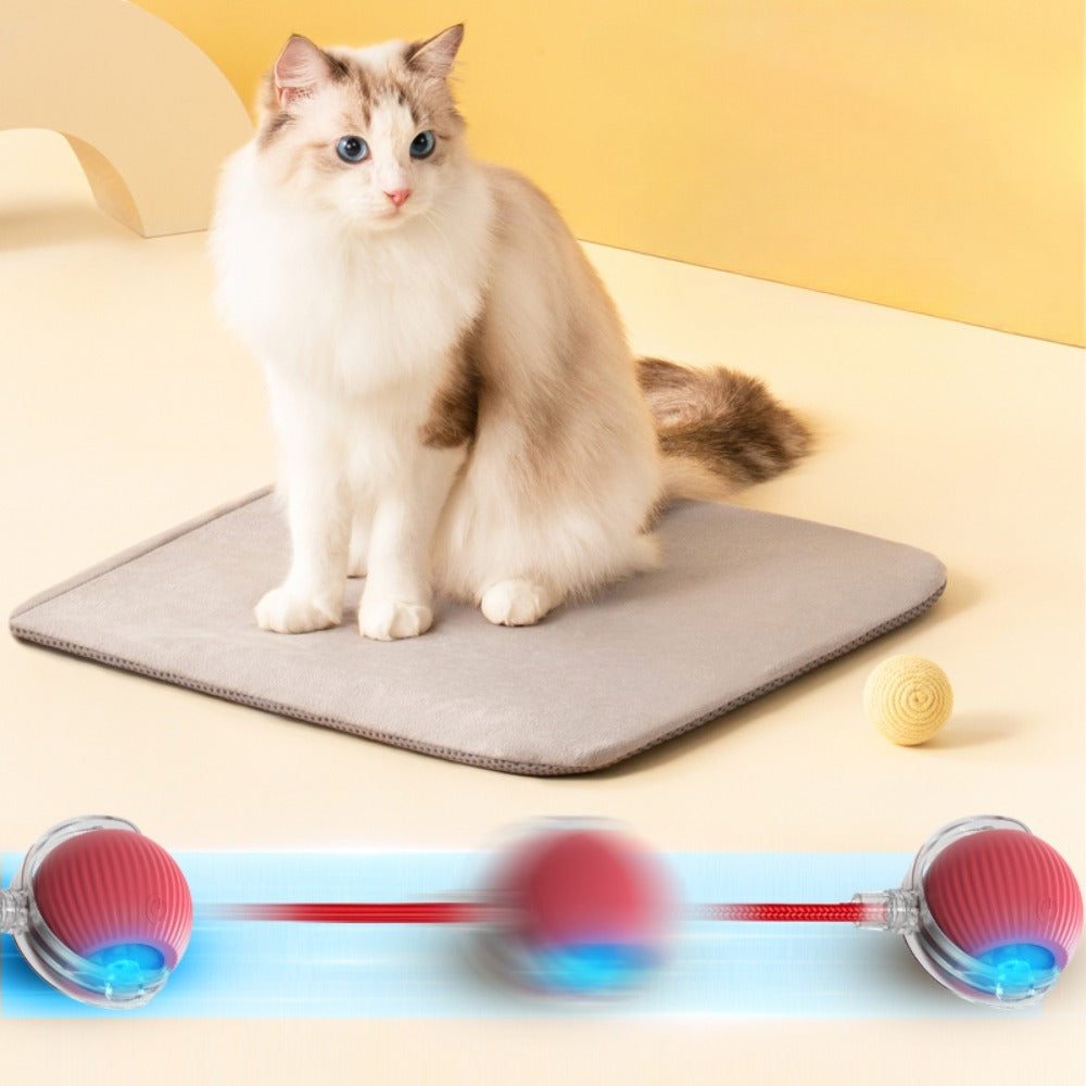 Mouse Ball – Interactive Cat Toy